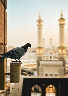 5 Nights 3 Star Calgary Umrah Package