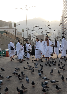 7 Nights 5 Star Deluxe Montreal Umrah Package